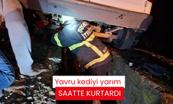 Yavru kediyi yarım saatte kurtardı