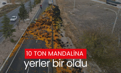 10 ton mandalina yerler bir oldu