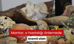 Mantar, o hastalığı önlemede önemli silah