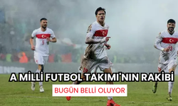 A Milli Futbol Takımı'nın rakibi belli oluyor!