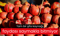 Tam bir şifa kaynağı, faydası saymakla bitmiyor