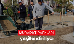 Muradiye parkları yeşillendiriliyor