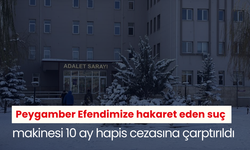 Peygamber Efendimize hakaret eden suç makinesi 10 ay hapis cezasına çarptırıldı