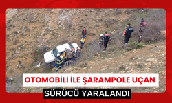 Otomobili ile şarampole uçan sürücü yaralandı