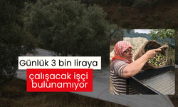 Günlük 3 bin liraya çalışacak işçi bulunamıyor