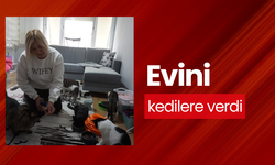 Evini kedilere verdi