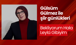 Bekliyorum Hala Leyla Gibiyim