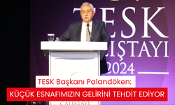 TESK Başkanı Palandöken: Küçük esnafımızın gelirini tehdit ediyor