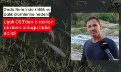 Gediz Nehri'nde kirlilik ve balık ölümlerine nedeni, Uşak OSB'den bırakılan atıkların olduğu iddia edildi