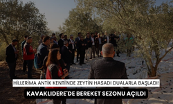 Antik Hillerima'da dualar yükseldi, kavaklıdere'de zeytin hasadı başladı