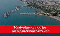 Türkiye kıyılarında ise 120'nin üzerinde birey var