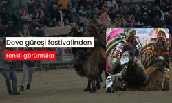 Deve güreşi festivalinden renkli görüntüler