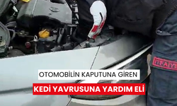 Otomobilin kaputuna giren kedi yavrusuna yardım eli