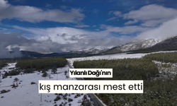 Yılanlı Dağı'nın kış manzarası mest etti