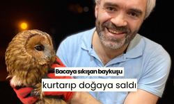 Bacaya sıkışan baykuşu kurtarıp doğaya saldı