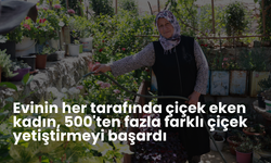 Evinin her tarafında çiçek eken kadın, 500'ten fazla farklı çiçek yetiştirmeyi başardı