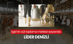 Ege Bölgesi'nin süt toplama merkezi lideri Denizli oldu