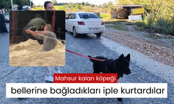 Mahsur kalan köpeği bellerine bağladıkları iple kurtardılar