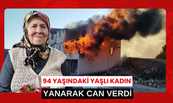 94 yaşındaki kadın hayatını kaybetti, 2 ev tamamen yandı