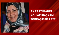 AK Parti Kadın Kolları Başkanı Tokkaş istifa etti