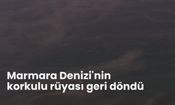 Marmara Denizi'nin korkulu rüyası geri döndü