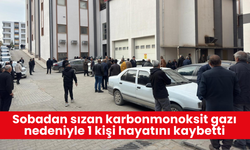 Sobadan sızan karbonmonoksit gazı nedeniyle 1 kişi hayatını kaybetti