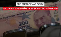 Yeni banknotlar geliyor mu? 500 liralık ve 1000 liralık yeni paraların çıkması iddialarına net yanıt geldi!