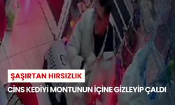 Şaşırtan hırsızlık: Cins kediyi montunun içine gizleyip çaldı