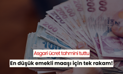 Asgari ücret tahmini tutunca en düşük emekli maaşı için konuştu! Özgür Erdursun: 'Refah payı ile tamamlanır'