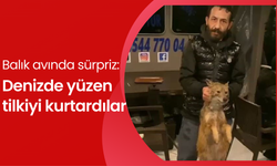 Balık avında sürpriz: Balık tutarken tilki yakaladılar