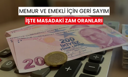 Memur ve emekli için geri sayım: İşte masadaki zam oranları