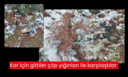 Vatandaşlardan tepki… Salihli’nin cennet köşeleri çöpten geçilmiyor!