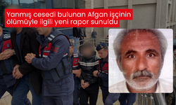 Yanmış cesedi bulunan Afgan işçinin ölümüyle ilgili yeni rapor sunuldu