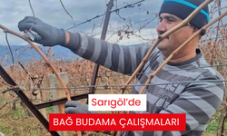 Sarıgöl’de bağ budama çalışmaları