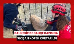 Bahçe kapısına sıkışan köpek kurtarıldı