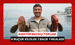 Amatör balıkçı toplam 6 buçuk kiloluk 2 balık yakaladı