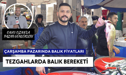 Pazarda Balık Fiyatları 04 Aralık Çarşamba | Sağlık deposu Balık