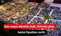 Kar suyu denize indi, fırtına çıktı, balık fiyatları arttı