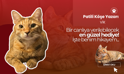 Bir canlıya verilebilecek en güzel hediye! İşte benim hikayem...