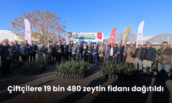 Üreticiye destek... Çiftçilere 19 bin 480 zeytin fidanı dağıtıldı