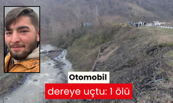 Otomobil dereye uçtu: 1 ölü