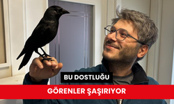 Doktorun karga ile olan dostluğu gülümsetiyor