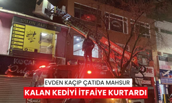 Evden kaçıp çatıda mahsur kalan kediyi itfaiye kurtardı