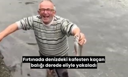 Fırtınada denizdeki kafesten kaçan balığı derede eliyle yakaladı