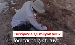 Türkiye’de 7,5 milyon yıllık fosil tarihe ışık tutuyor