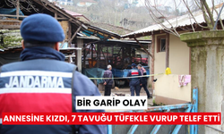 Annesinin horozları komşuya verdiğini duyunca tüfekle dehşet saçtı