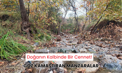 Doğanın en güzel hali... Manisa'nın kalbinde bir cennet!