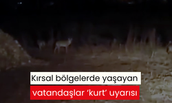 Kırsal bölgelerde yaşayan vatandaşlar ‘kurt’ uyarısı