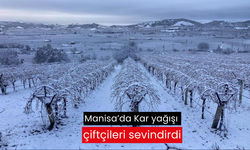 Manisa’da Kar yağışı çiftçileri sevindirdi