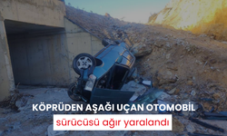 Köprüden aşağı uçan otomobil sürücüsü ağır yaralandı